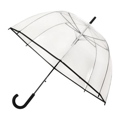 Parapluie droit ouverture automatique - Transparent avec bordure noire