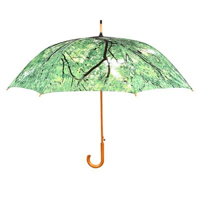 Grand parapluie solide avec jolie imprimé forêt - Ouverture Automatique - Poignée et canne en bois