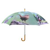 Parapluie droit avec système d'ouverture automatique et manche en bois - oiseaux