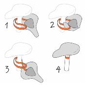 Housse de selle de vélo pour enfant - Bleu à pois blancs